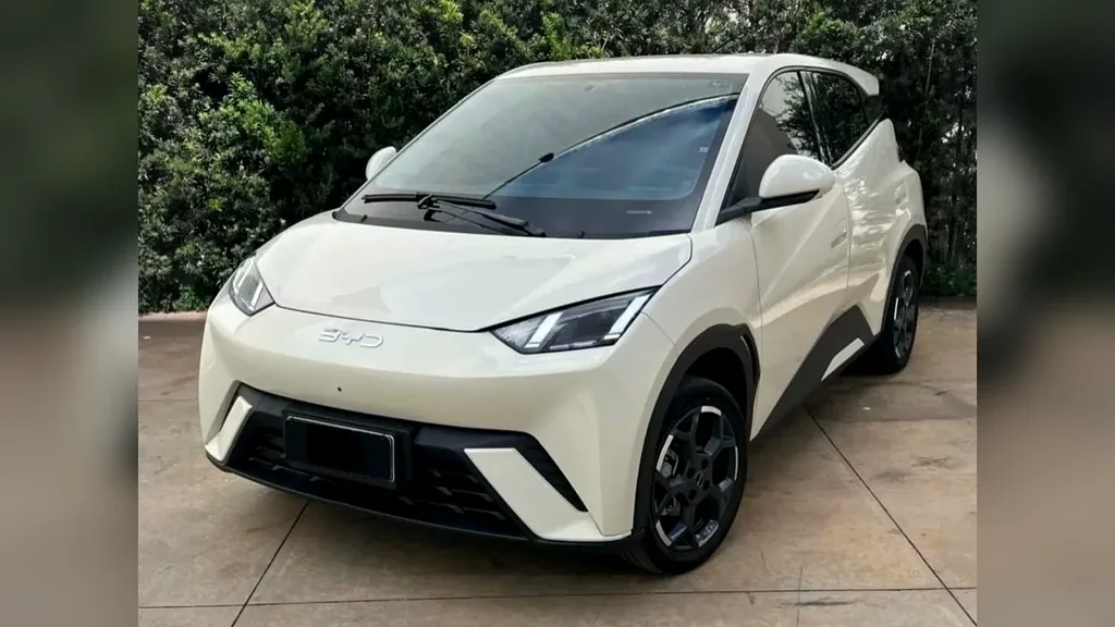 BYD Dolphin Mini - Imagem 2