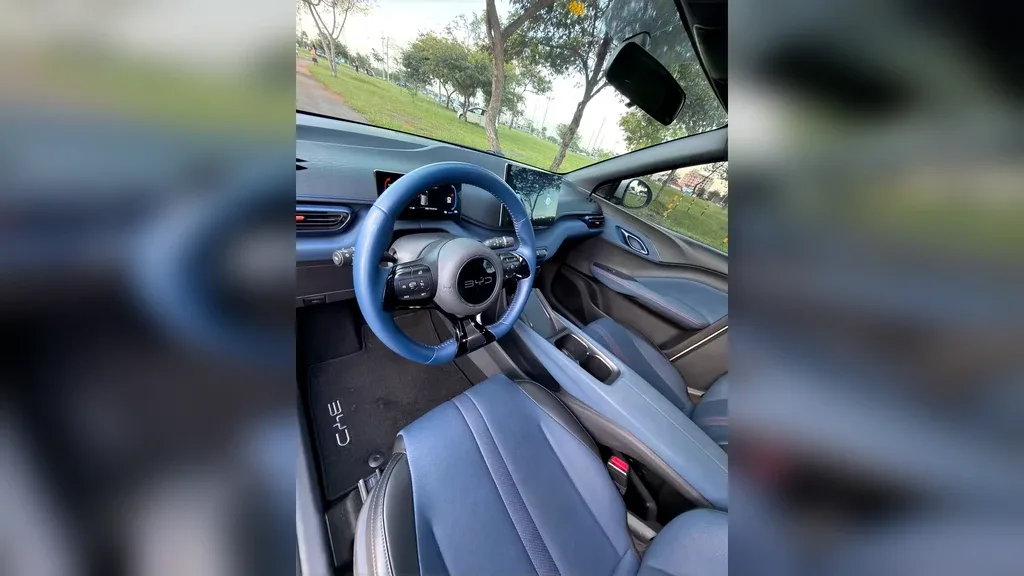 BYD Dolphin Mini - Imagem 18