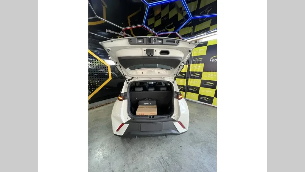 BYD Dolphin Mini - Imagem 5