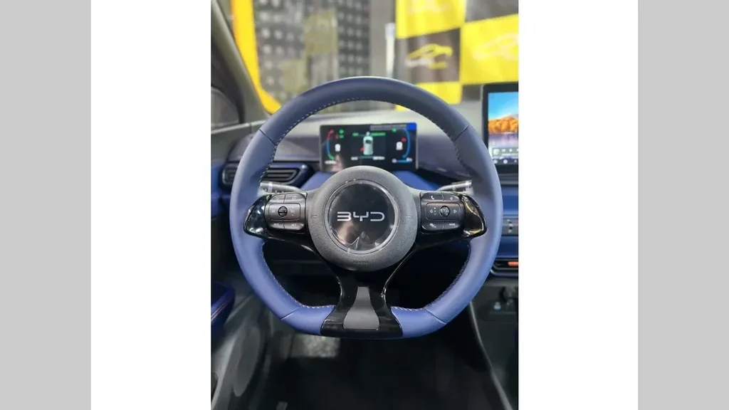 BYD Dolphin Mini - Imagem 12