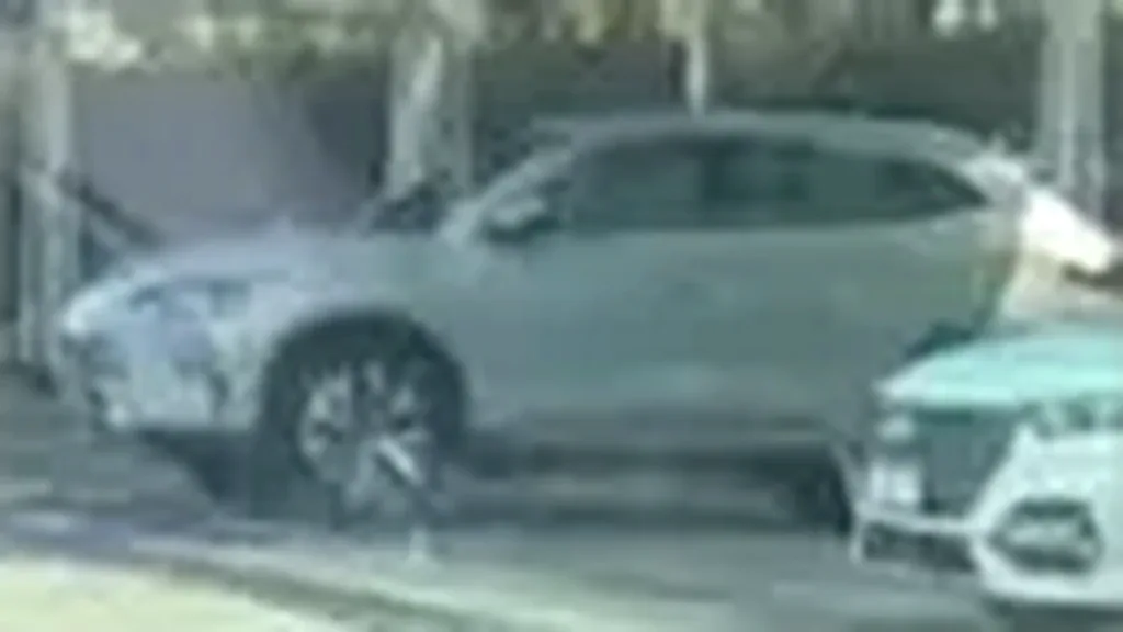 BYD Dolphin - Imagem 6