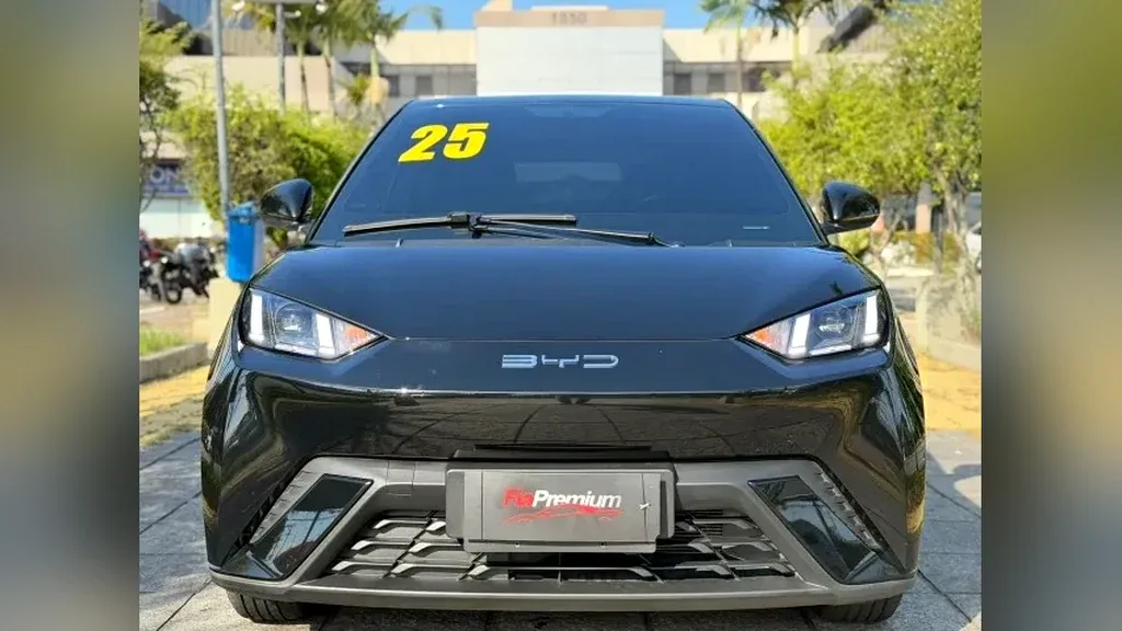 BYD Dolphin Mini - Imagem 8