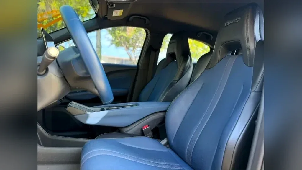 BYD Dolphin Mini - Imagem 19