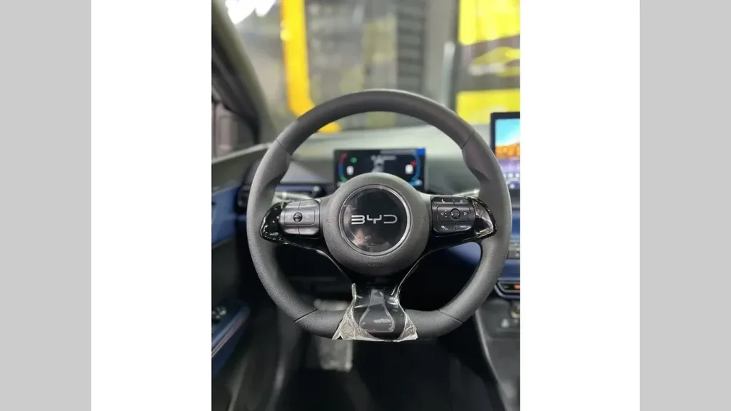 BYD Dolphin Mini - Imagem 14