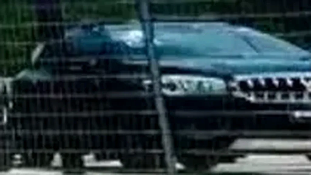 BYD Dolphin Mini - Imagem 11