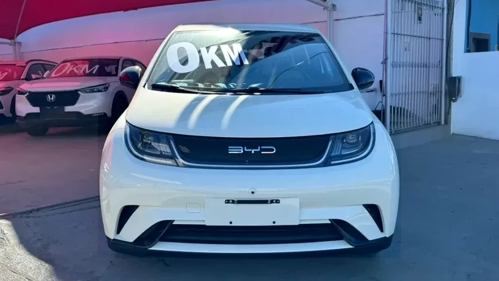 BYD Dolphin - Imagem 9