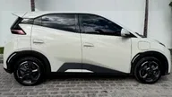BYD Dolphin Mini - Miniatura 4