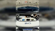 BYD Dolphin Mini - Miniatura 7