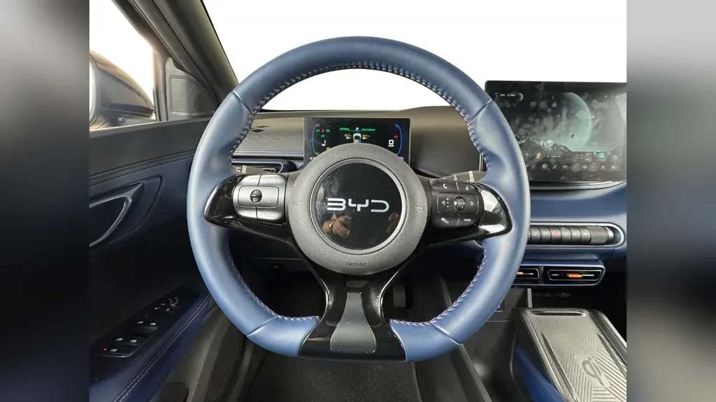 BYD Dolphin Mini - Imagem 11