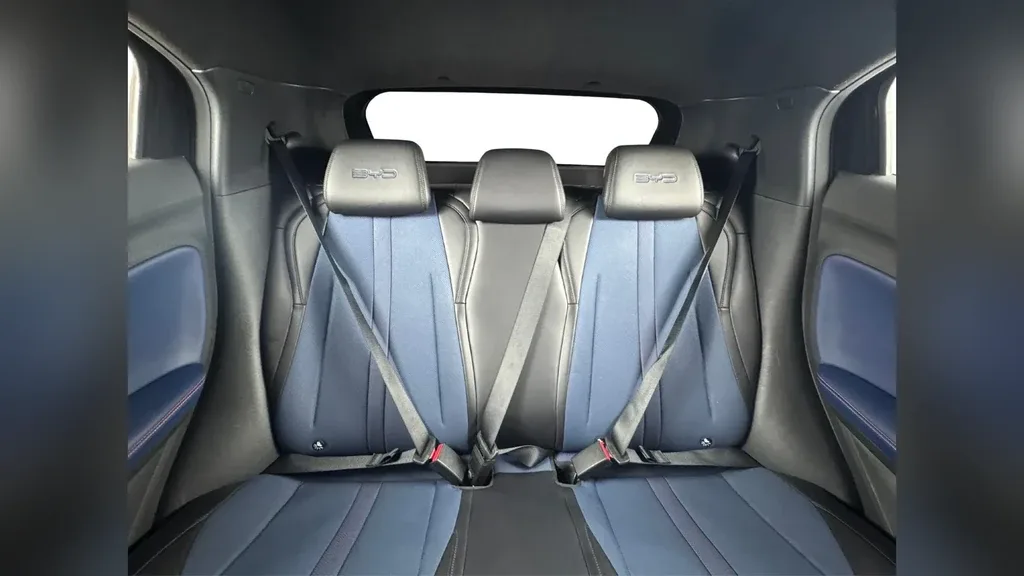 BYD Dolphin Mini - Imagem 15