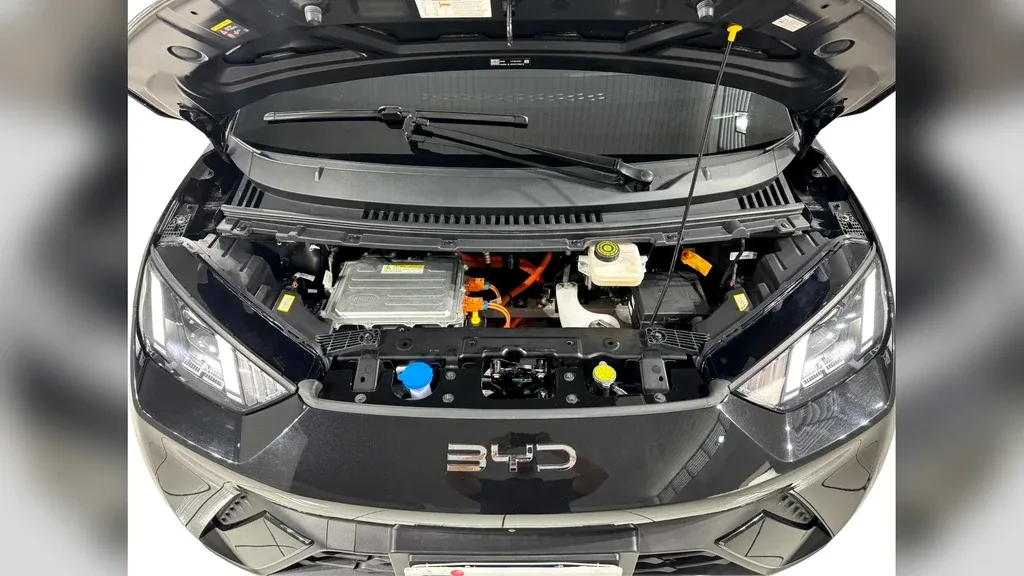 BYD Dolphin Mini - Imagem 18