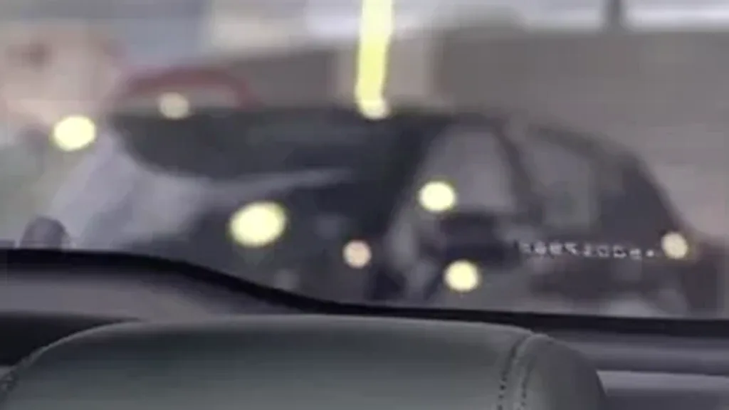 BYD Dolphin Plus - Imagem 18