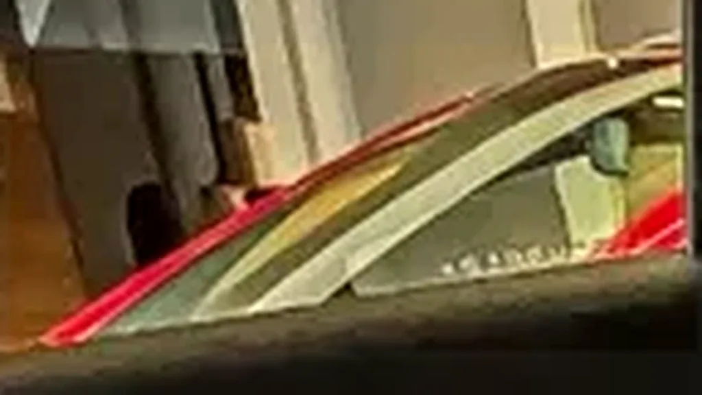 BYD Dolphin Mini - Imagem 8