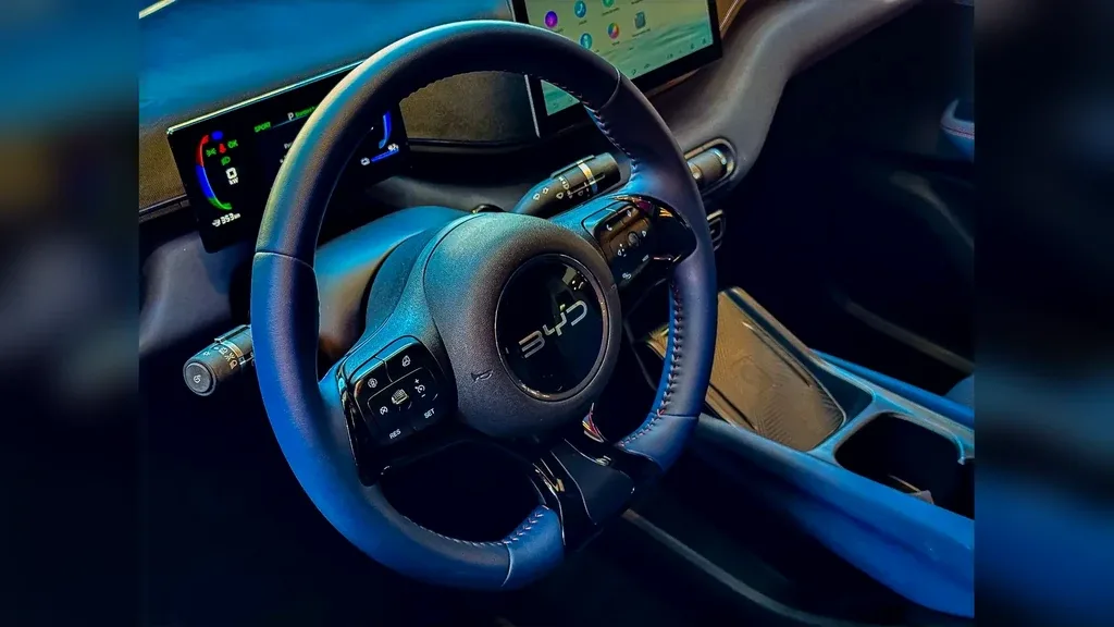 BYD Dolphin Mini - Imagem 16