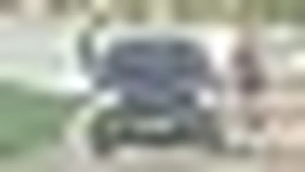 BYD Dolphin Mini - Imagem 8