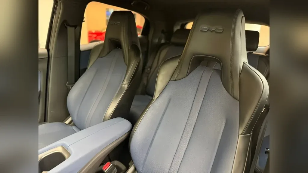 BYD Dolphin Mini - Imagem 9