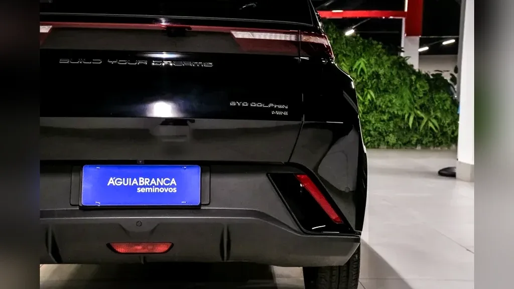 BYD Dolphin Mini - Imagem 9