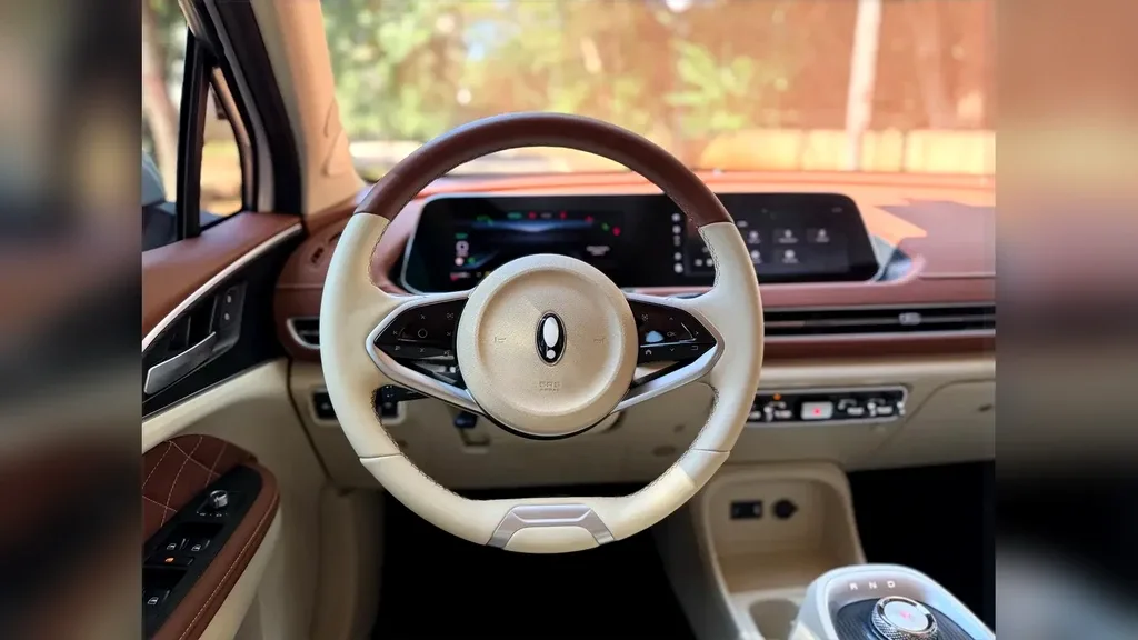 GWM Ora 03 - Imagem 10