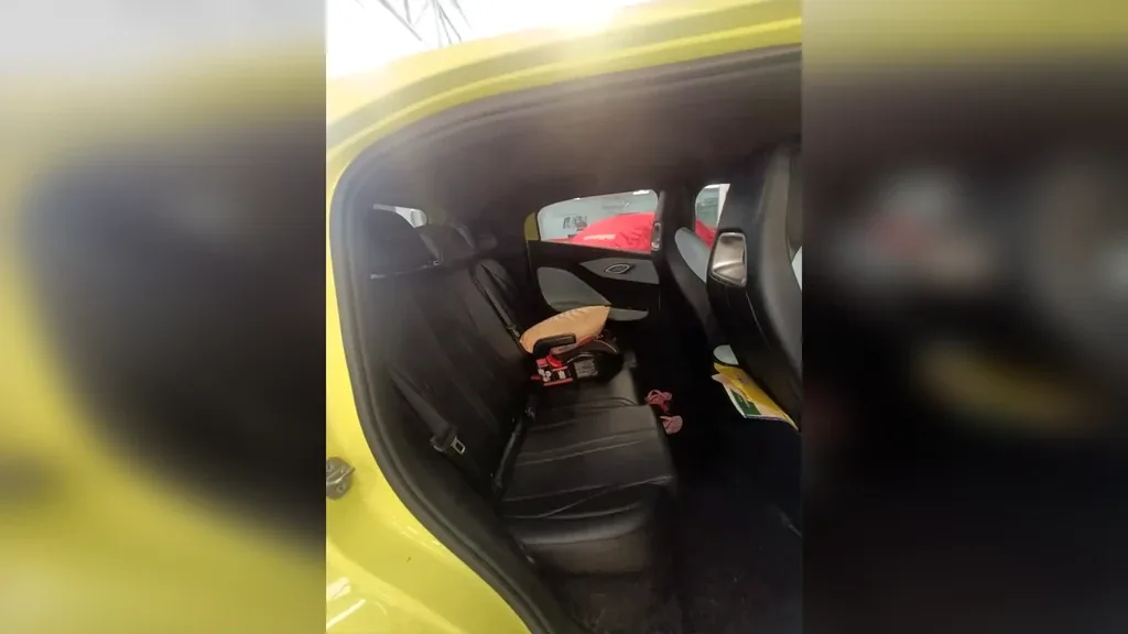 BYD Dolphin Mini - Imagem 9