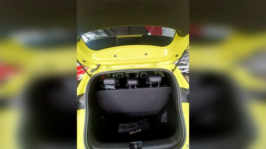 BYD Dolphin Mini - Imagem 18