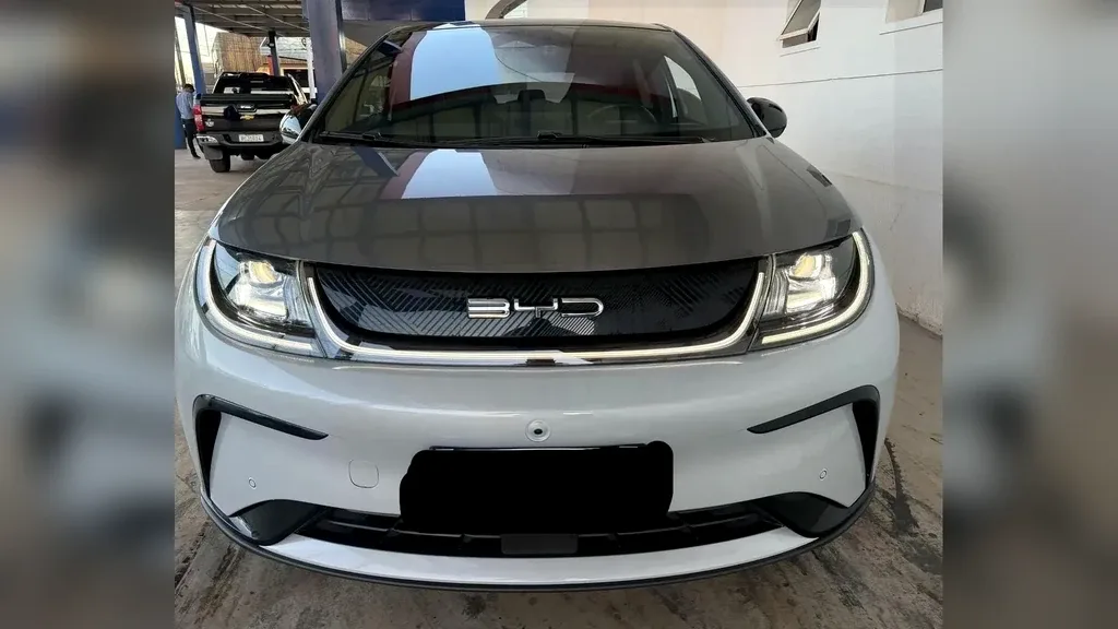 BYD Dolphin Plus - Imagem 3