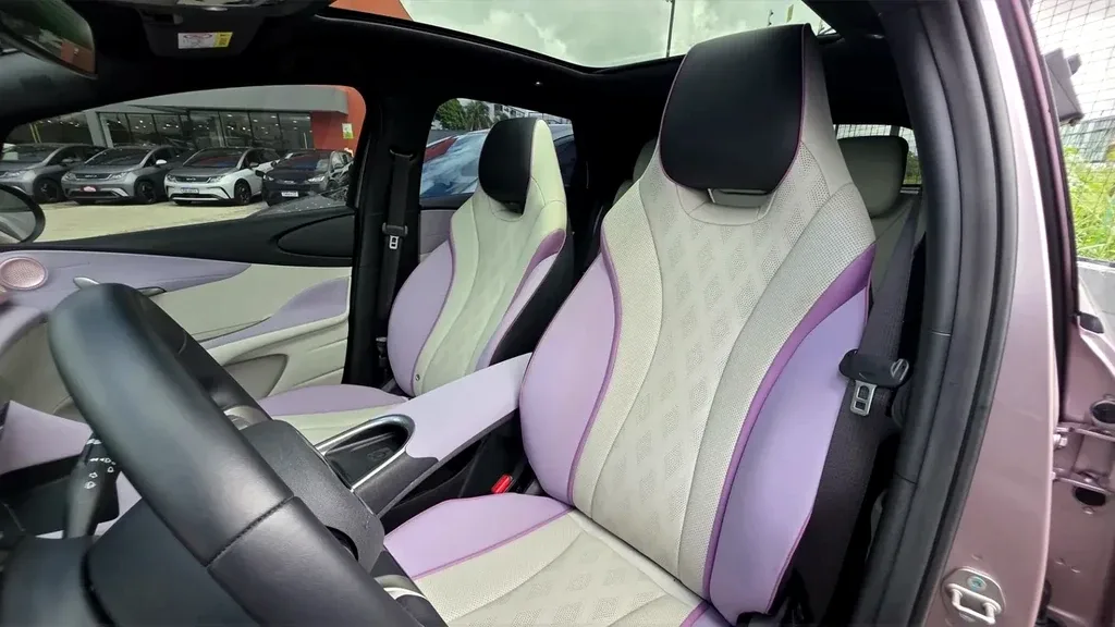 BYD Dolphin Plus - Imagem 16