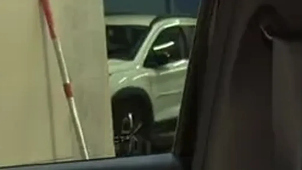 BYD Dolphin Mini - Imagem 12