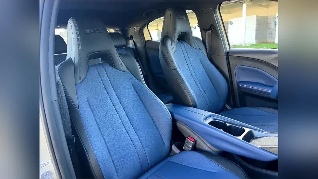 BYD Dolphin Mini - Imagem 18