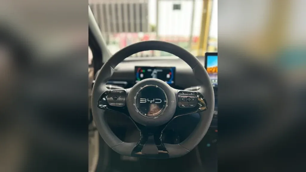 BYD Dolphin Mini - Imagem 8