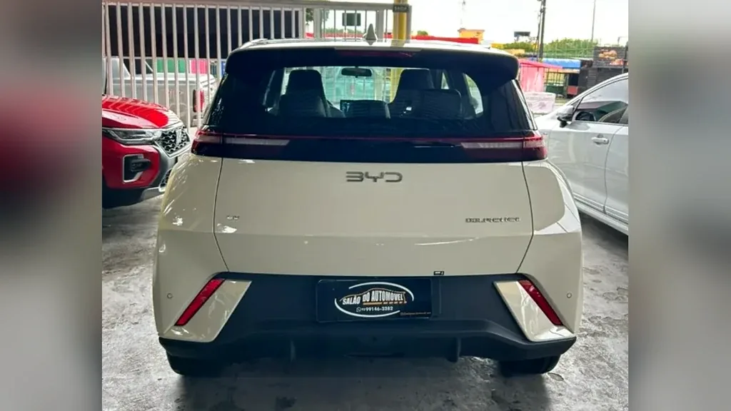 BYD Dolphin Mini - Imagem 13