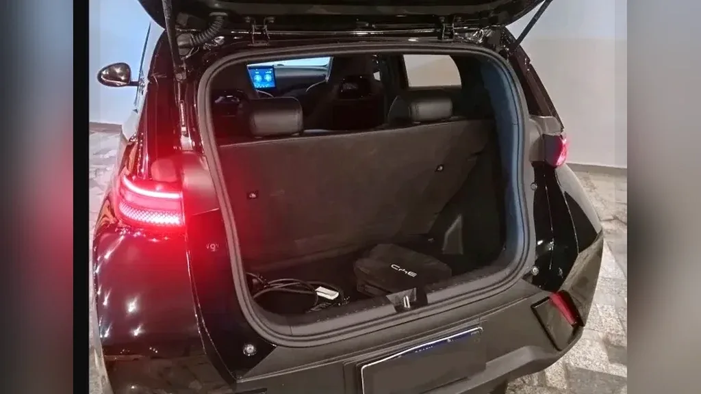 BYD Dolphin Mini - Imagem 12