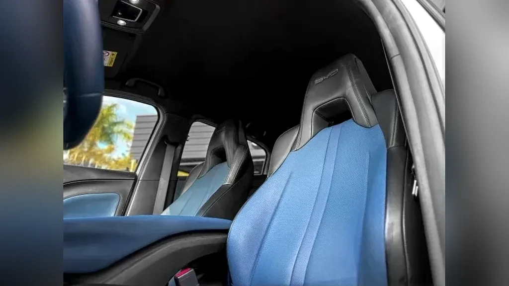 BYD Dolphin Mini - Imagem 8