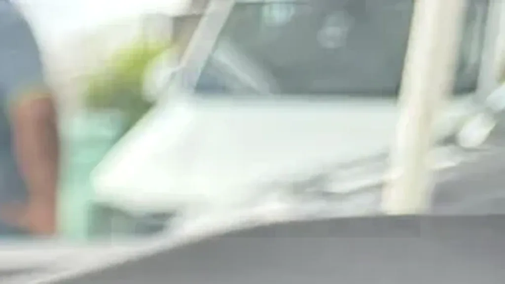 BYD Dolphin Mini - Imagem 14