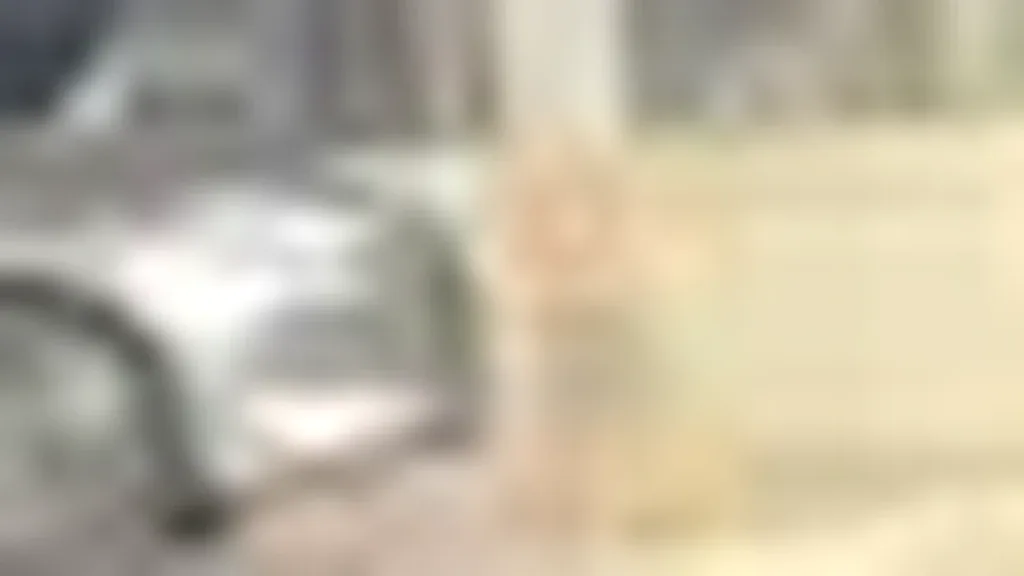 BYD Dolphin Mini - Imagem 3