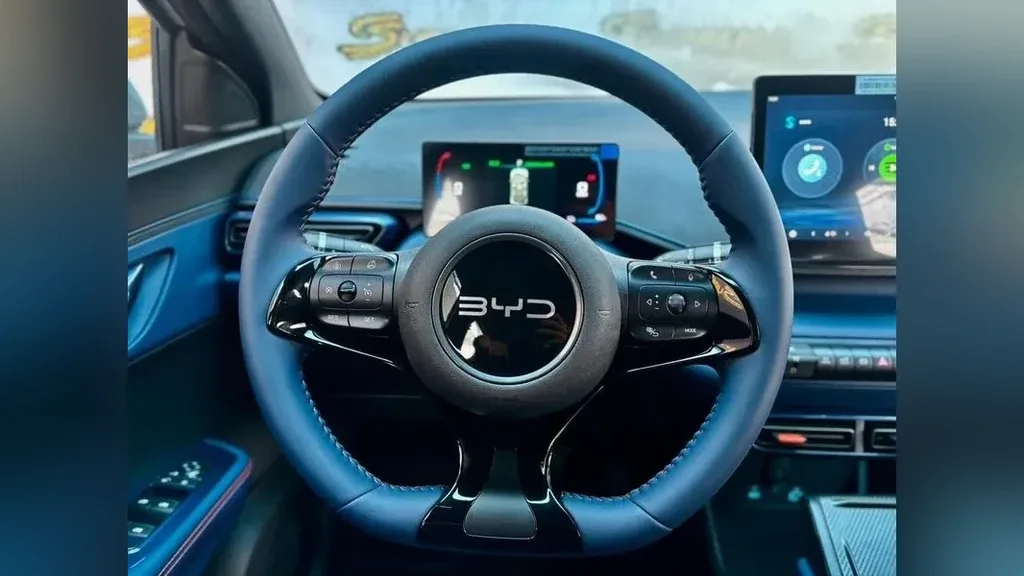 BYD Dolphin Mini - Imagem 14