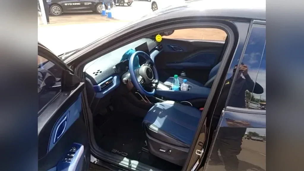 BYD Dolphin Mini - Imagem 8