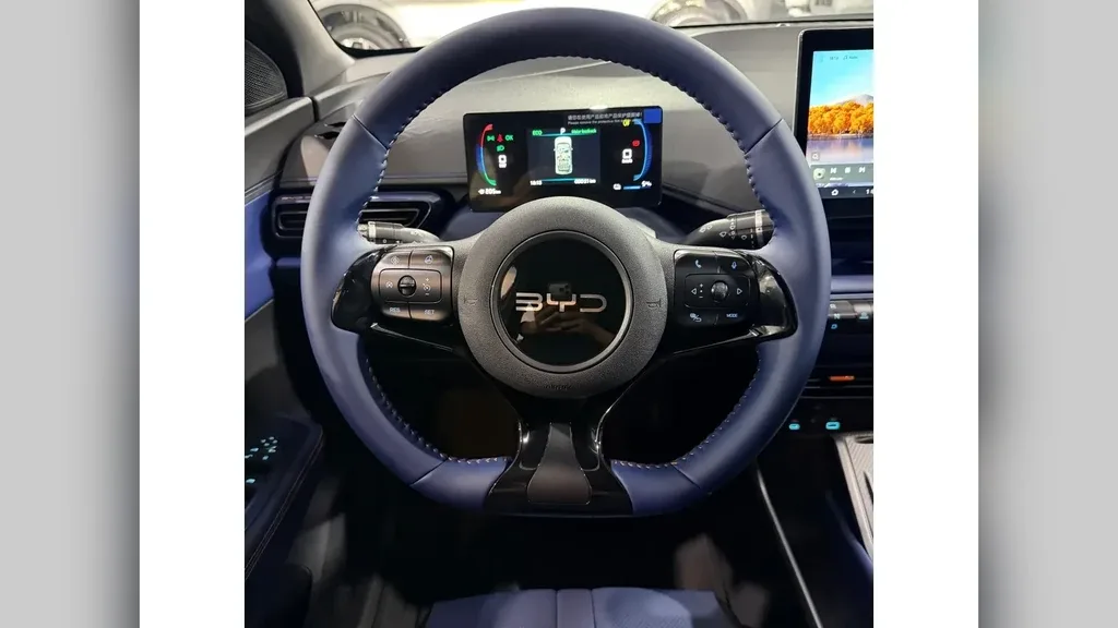 BYD Dolphin Mini - Imagem 8