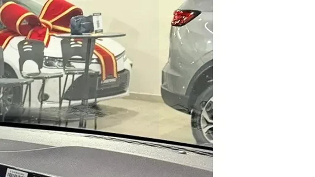 BYD Dolphin Mini - Imagem 12