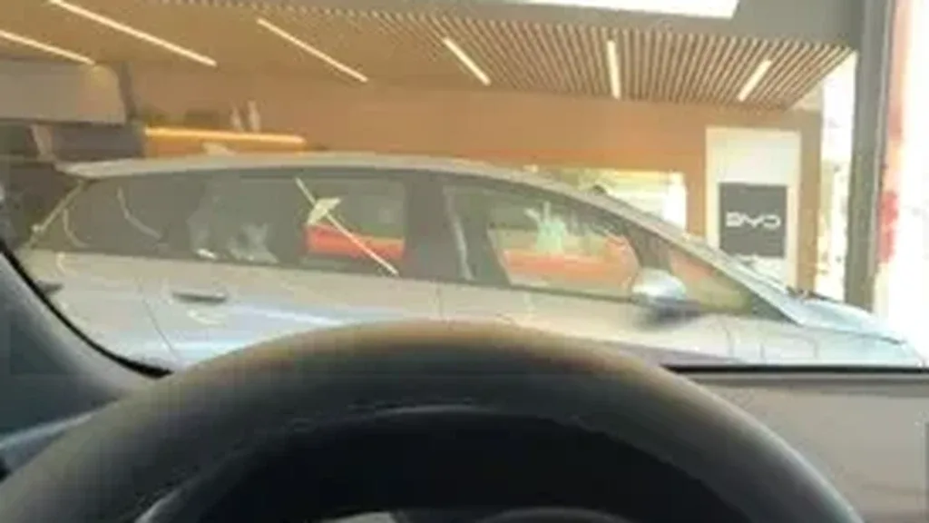 BYD Yuan Plus - Imagem 2