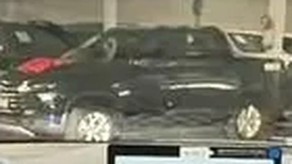 BYD Dolphin Mini - Imagem 9