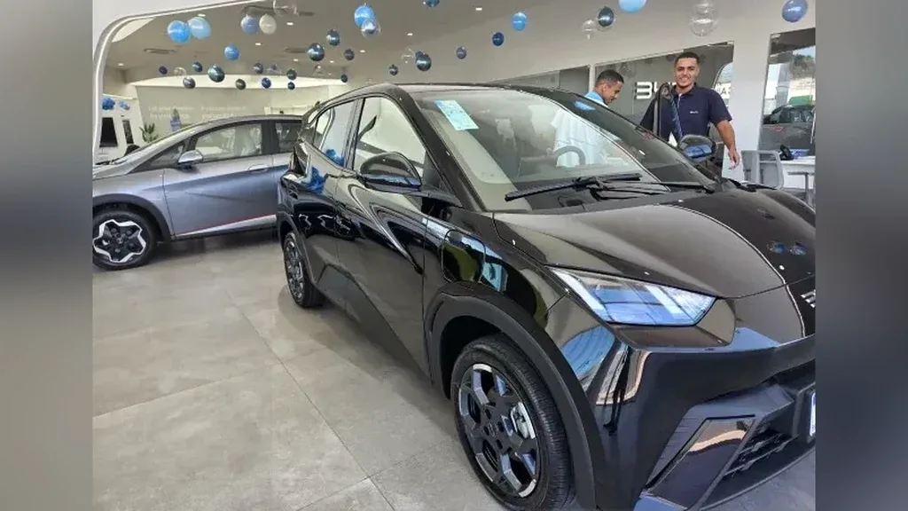 BYD Dolphin Mini - Imagem 6