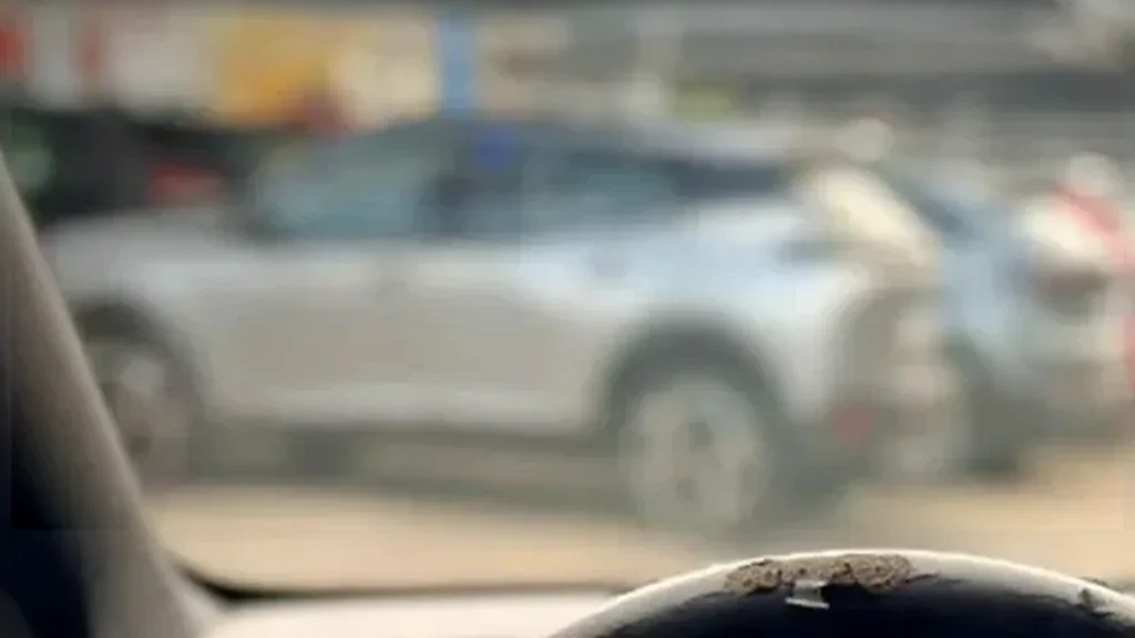 BYD Dolphin Mini - Imagem 10