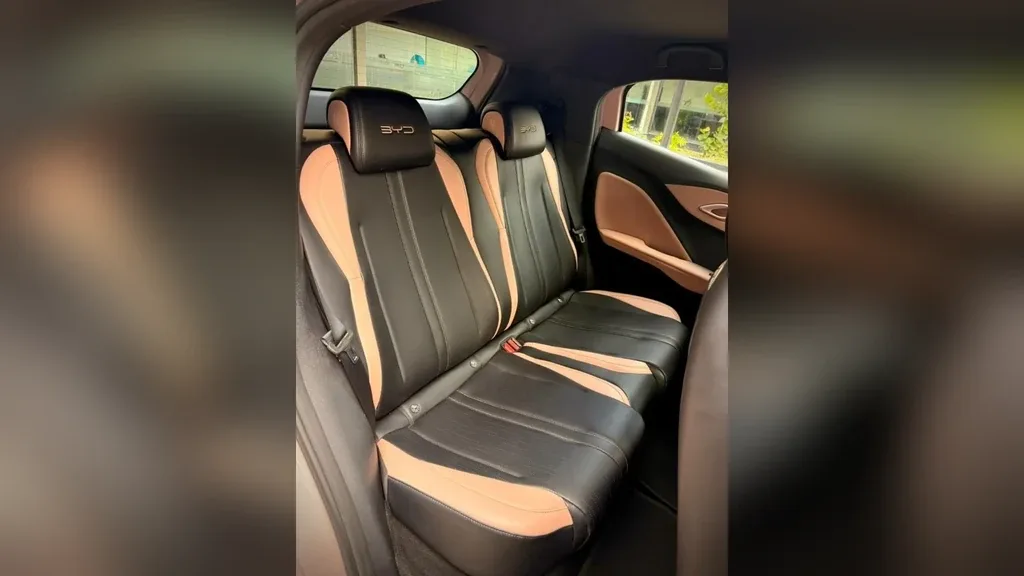 BYD Dolphin Mini - Imagem 16