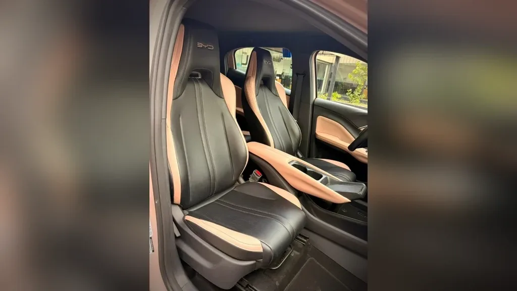 BYD Dolphin Mini - Imagem 17