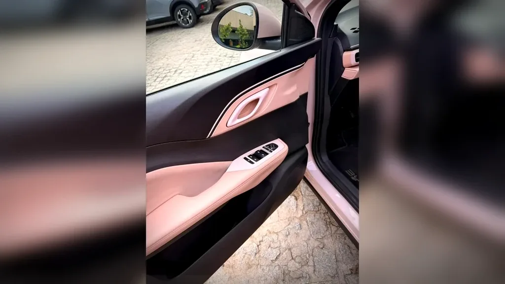 BYD Dolphin Mini - Imagem 18