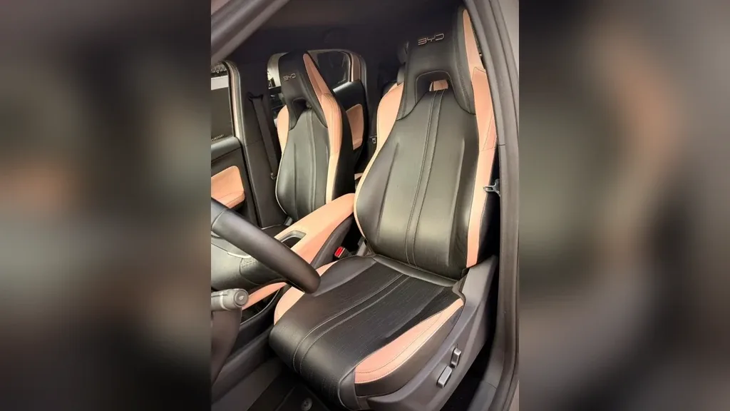 BYD Dolphin Mini - Imagem 19