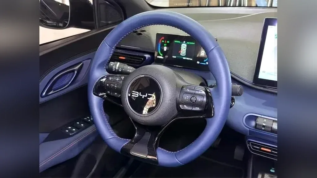 BYD Dolphin Mini - Imagem 16