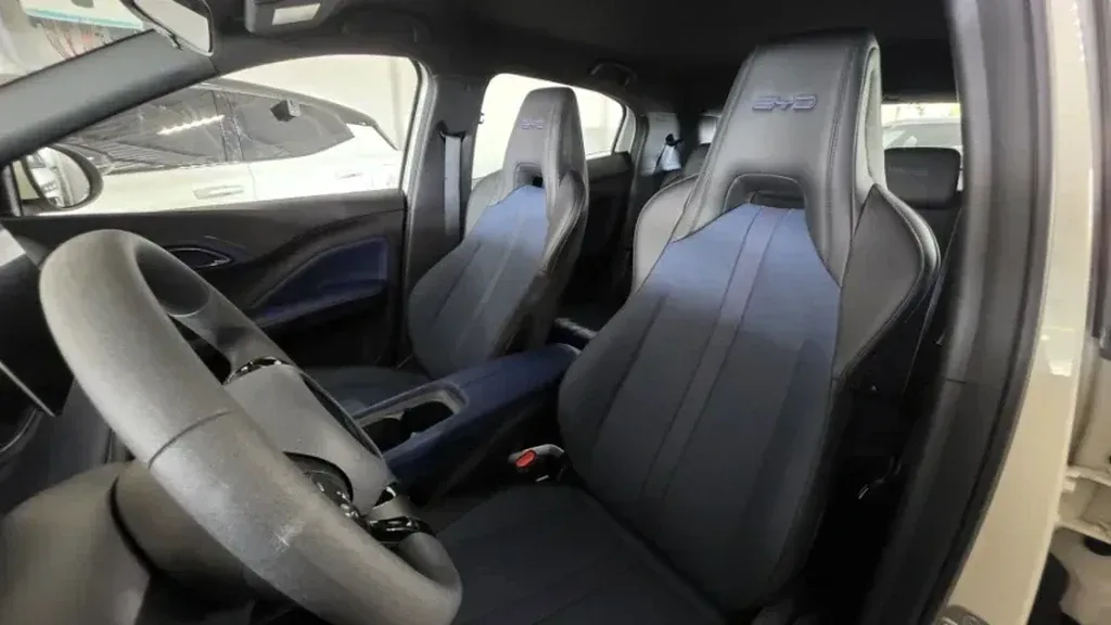 BYD Dolphin Mini - Imagem 15