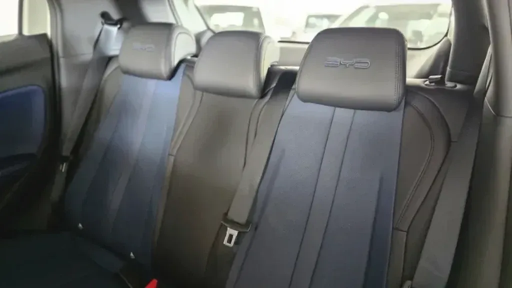 BYD Dolphin Mini - Imagem 17