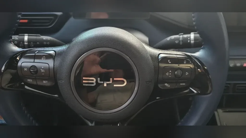 BYD Dolphin Mini - Imagem 12